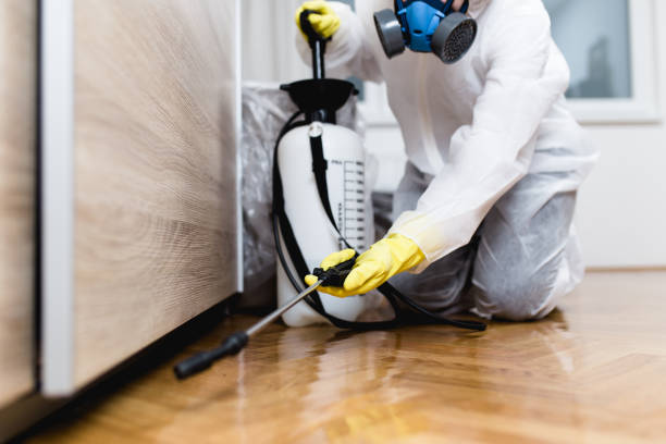Best Pest Removal Services  in Riverview, MO