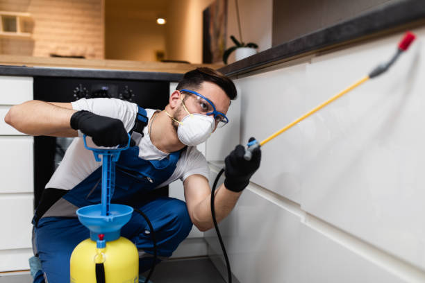 Best Residential Pest Control  in Riverview, MO