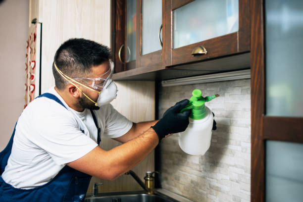 Best Cockroach Control Services  in Riverview, MO