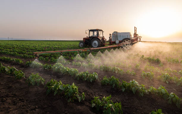 Professional Pest Control in Riverview, MO