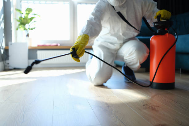 Best Flea Control Services  in Riverview, MO