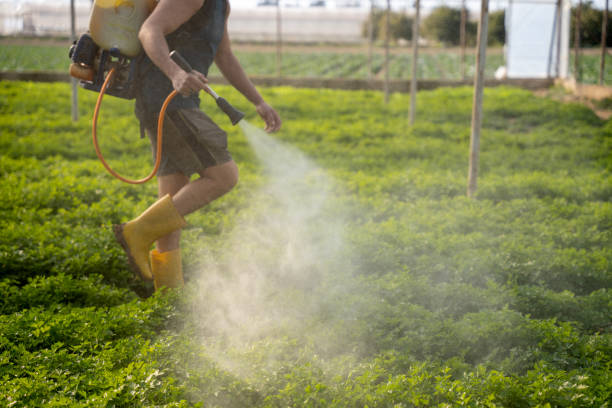 Best Commercial Pest Control Services  in Riverview, MO