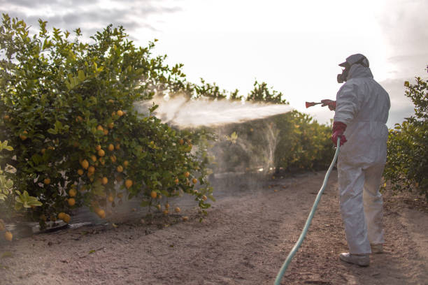 Best Best Pest Control Companies  in Riverview, MO