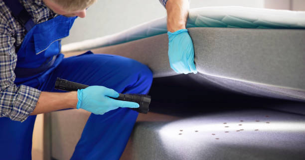 Best Pest Control for Restaurants  in Riverview, MO